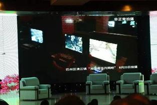 巴中卫视直播在线观看,实时掌握巴中动态，畅享精彩视听盛宴